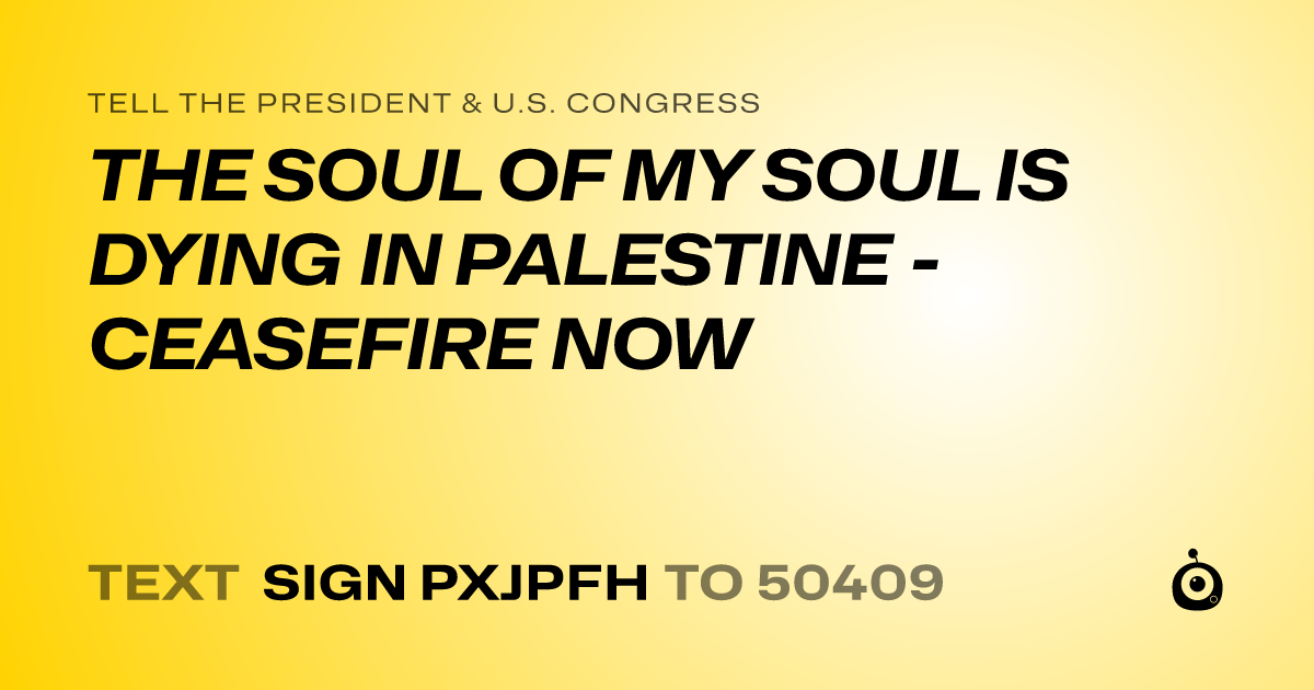 A shareable card that reads "tell the President & U.S. Congress: THE SOUL OF MY SOUL IS DYING IN PALESTINE - CEASEFIRE NOW" followed by "text sign PXJPFH to 50409"