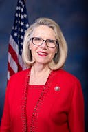 Official profile photo of Rep. Carol Miller