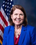 Official profile photo of Ann Kirkpatrick