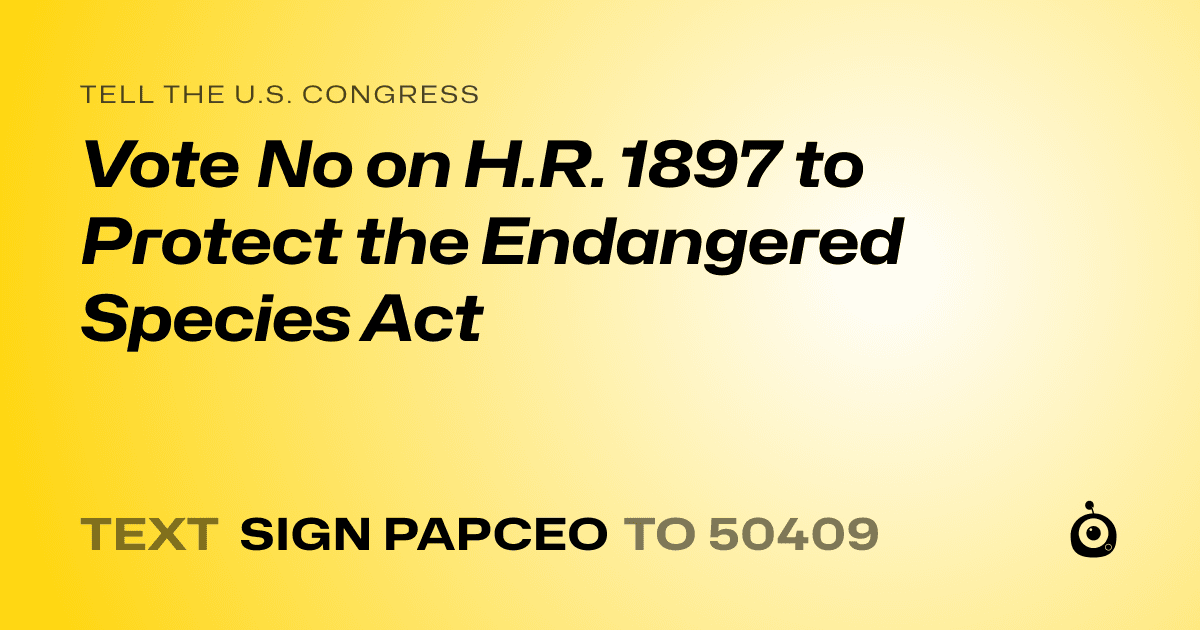 A shareable card that reads "tell the U.S. Congress: Vote No on H.R. 1897 to Protect the Endangered Species Act" followed by "text sign PAPCEO to 50409"