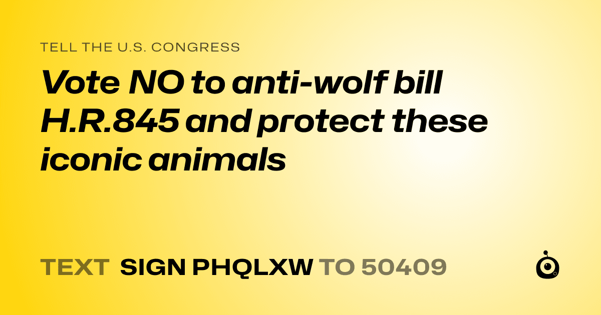 A shareable card that reads "tell the U.S. Congress: Vote NO to anti-wolf bill H.R.845 and protect these iconic animals" followed by "text sign PHQLXW to 50409"