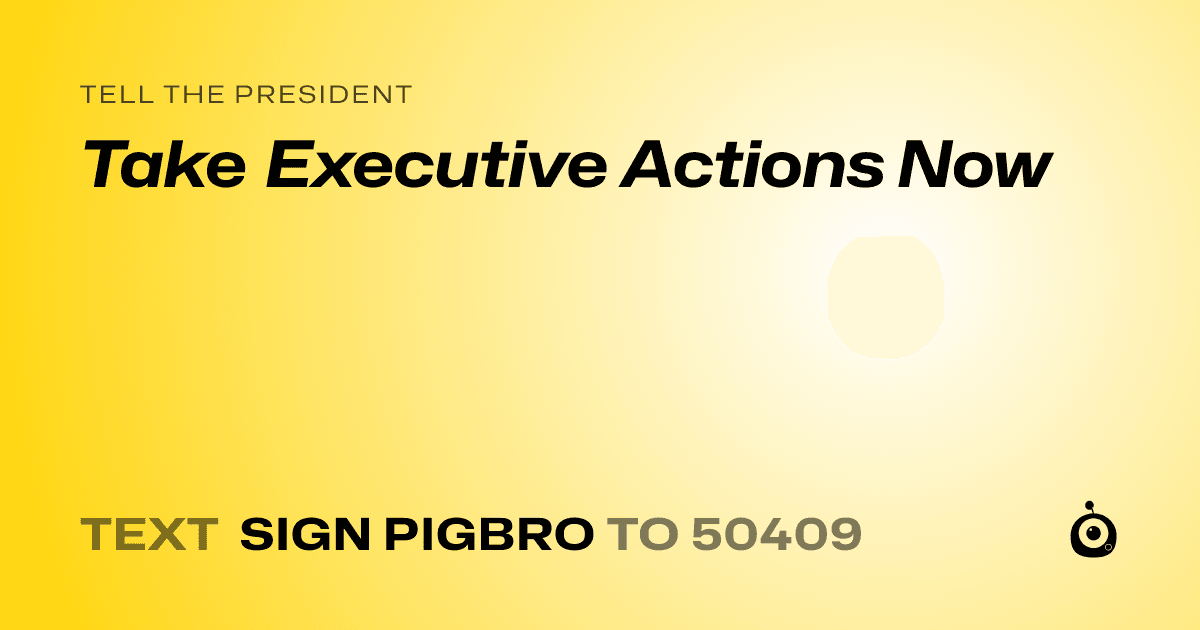 A shareable card that reads "tell the President: Take Executive Actions Now" followed by "text sign PIGBRO to 50409"