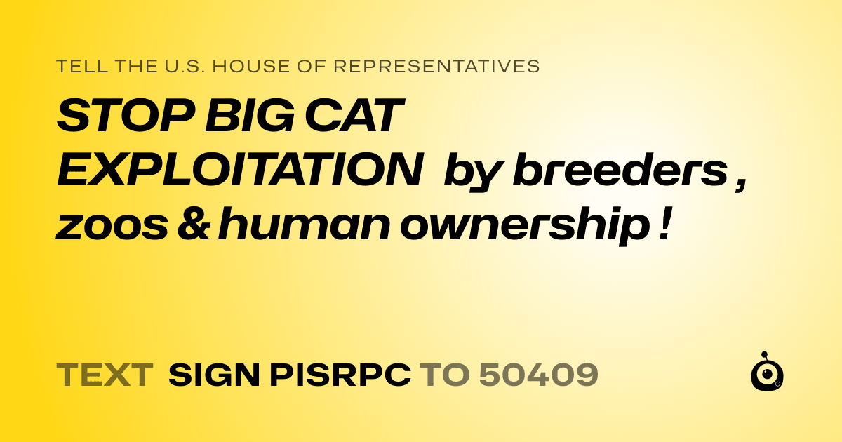 A shareable card that reads "tell the U.S. House of Representatives: STOP BIG CAT EXPLOITATION by breeders , zoos & human ownership !" followed by "text sign PISRPC to 50409"