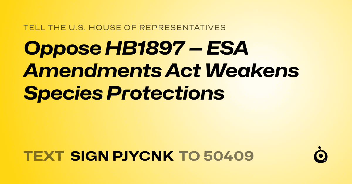 A shareable card that reads "tell the U.S. House of Representatives: Oppose HB1897 — ESA Amendments Act Weakens Species Protections" followed by "text sign PJYCNK to 50409"