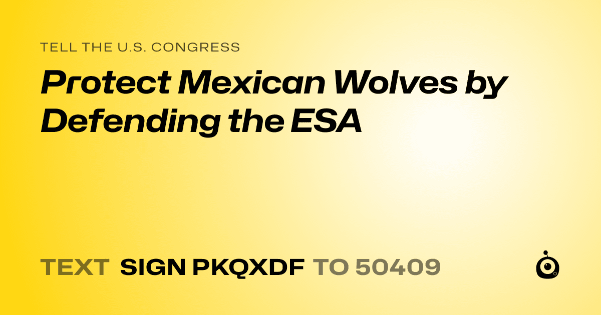A shareable card that reads "tell the U.S. Congress: Protect Mexican Wolves by Defending the ESA" followed by "text sign PKQXDF to 50409"