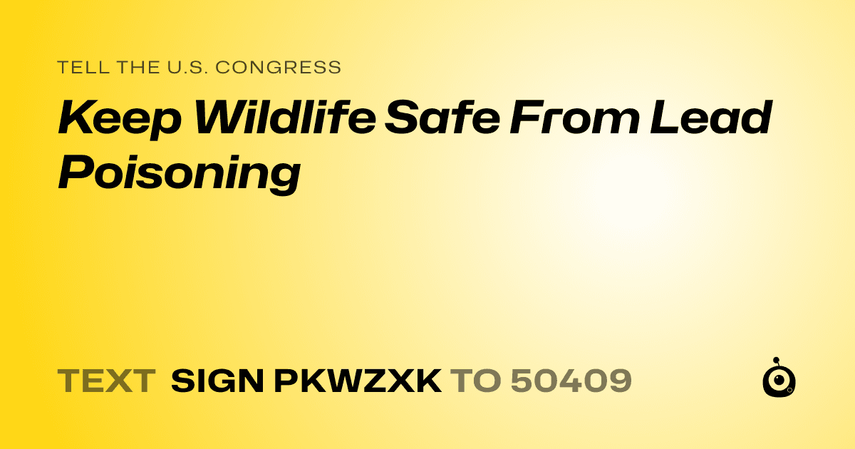 A shareable card that reads "tell the U.S. Congress: Keep Wildlife Safe From Lead Poisoning" followed by "text sign PKWZXK to 50409"