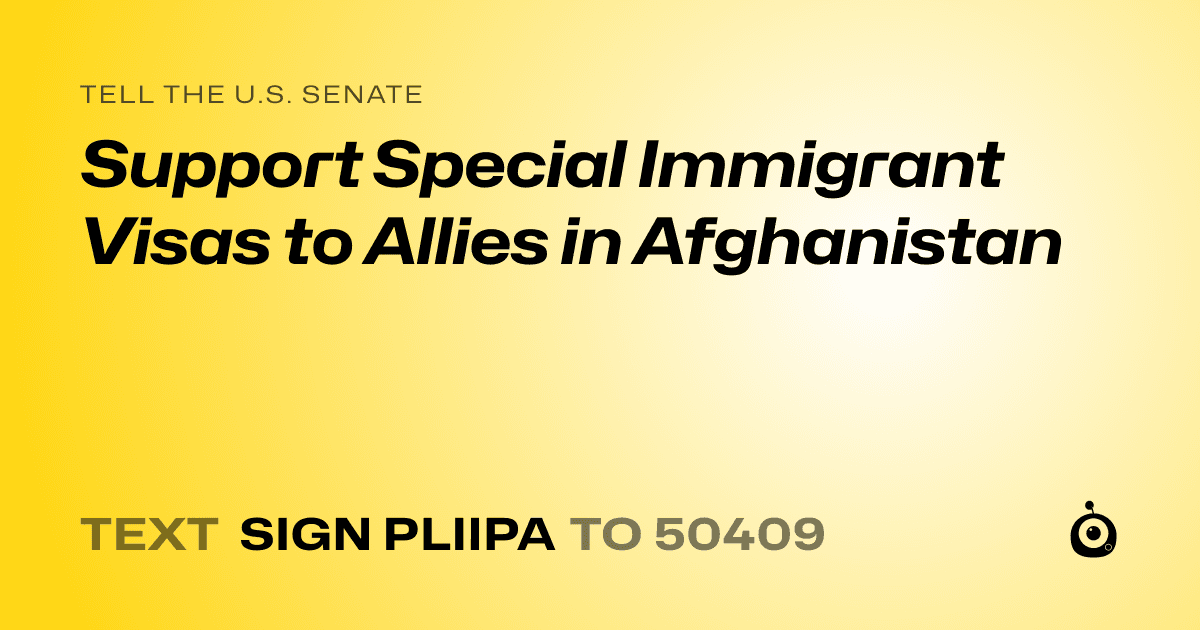 A shareable card that reads "tell the U.S. Senate: Support Special Immigrant Visas to Allies in Afghanistan" followed by "text sign PLIIPA to 50409"