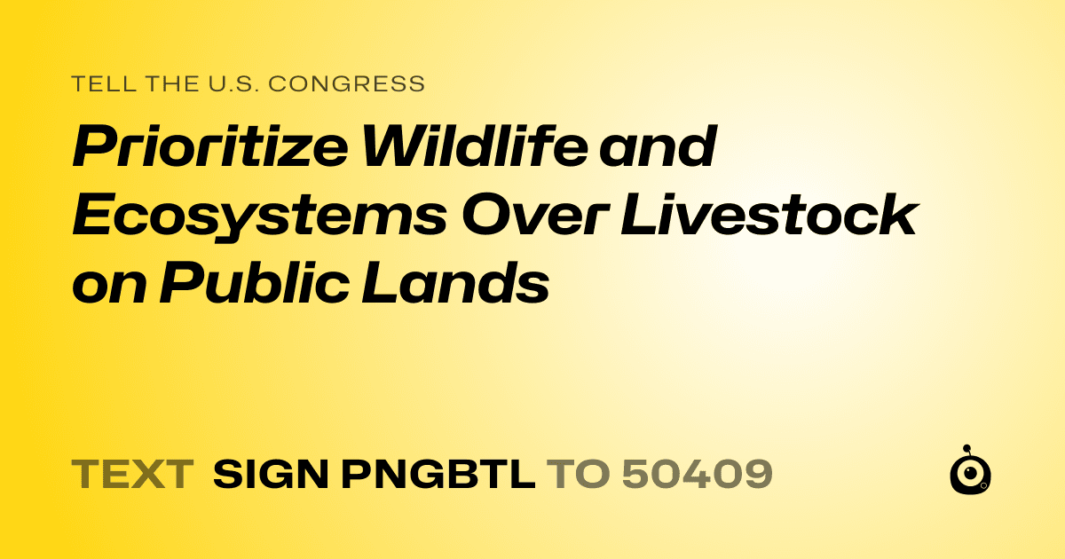 A shareable card that reads "tell the U.S. Congress: Prioritize Wildlife and Ecosystems Over Livestock on Public Lands" followed by "text sign PNGBTL to 50409"