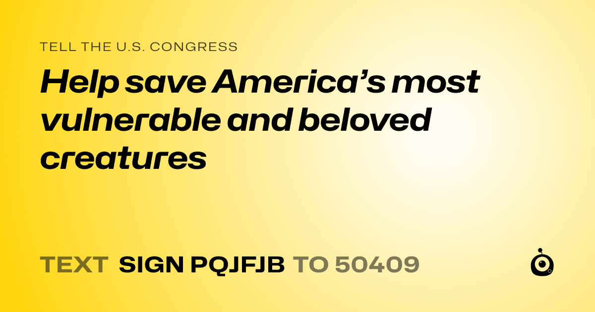 A shareable card that reads "tell the U.S. Congress: Help save America’s most vulnerable and beloved creatures" followed by "text sign PQJFJB to 50409"