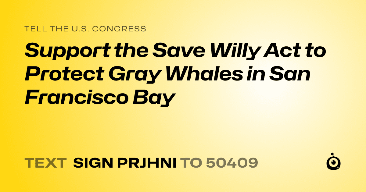 A shareable card that reads "tell the U.S. Congress: Support the Save Willy Act to Protect Gray Whales in San Francisco Bay" followed by "text sign PRJHNI to 50409"