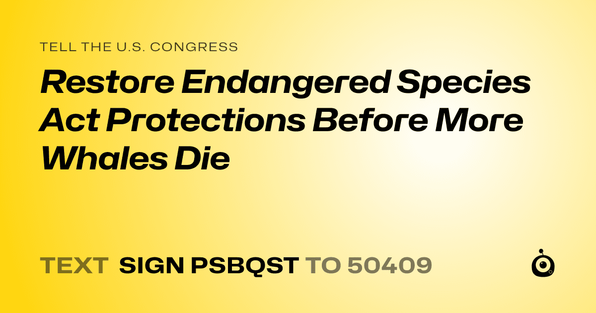 A shareable card that reads "tell the U.S. Congress: Restore Endangered Species Act Protections Before More Whales Die" followed by "text sign PSBQST to 50409"