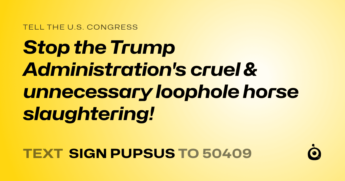 A shareable card that reads "tell the U.S. Congress: Stop the Trump Administration's cruel & unnecessary loophole horse slaughtering!" followed by "text sign PUPSUS to 50409"
