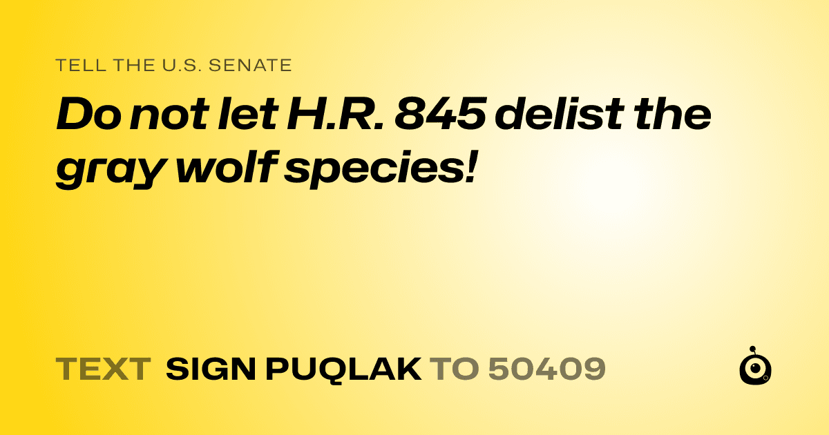 A shareable card that reads "tell the U.S. Senate: Do not let H.R. 845 delist the gray wolf species!" followed by "text sign PUQLAK to 50409"