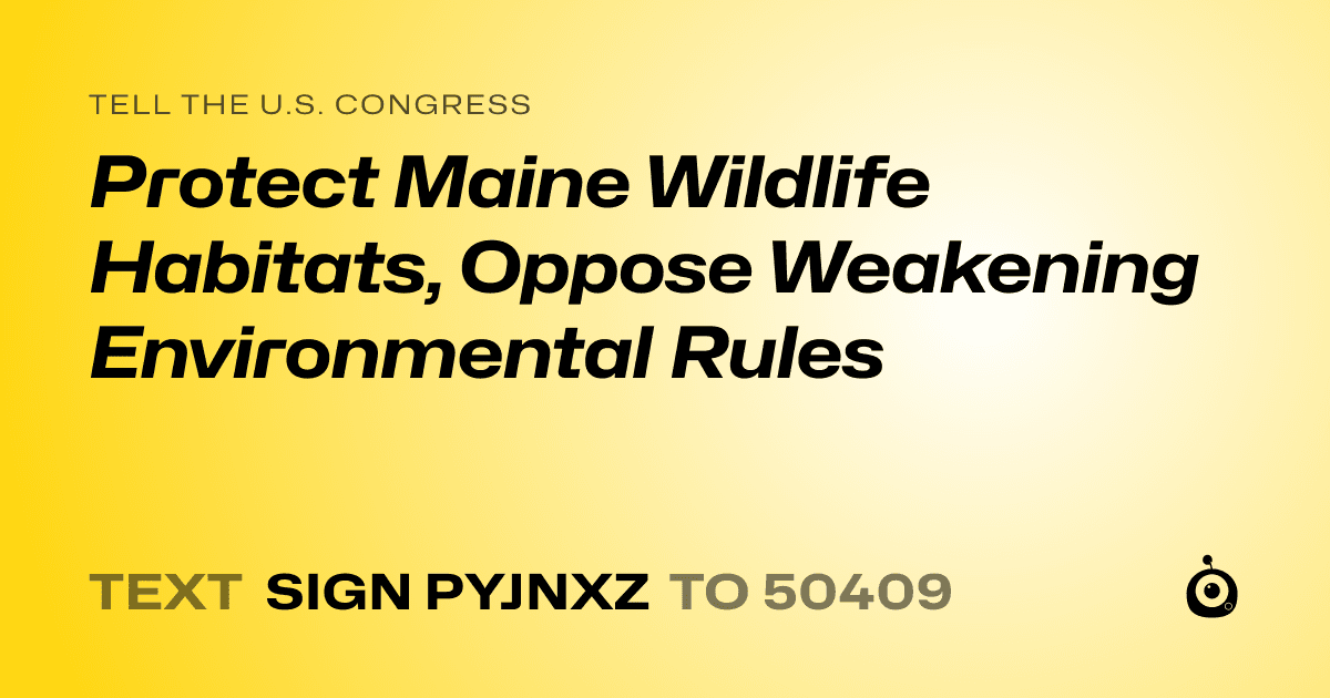A shareable card that reads "tell the U.S. Congress: Protect Maine Wildlife Habitats, Oppose Weakening Environmental Rules" followed by "text sign PYJNXZ to 50409"