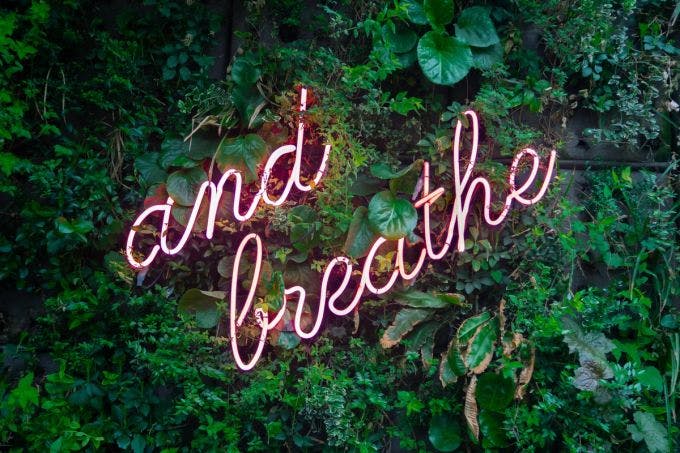 Living wall with a pink neon sign that says "and breathe"