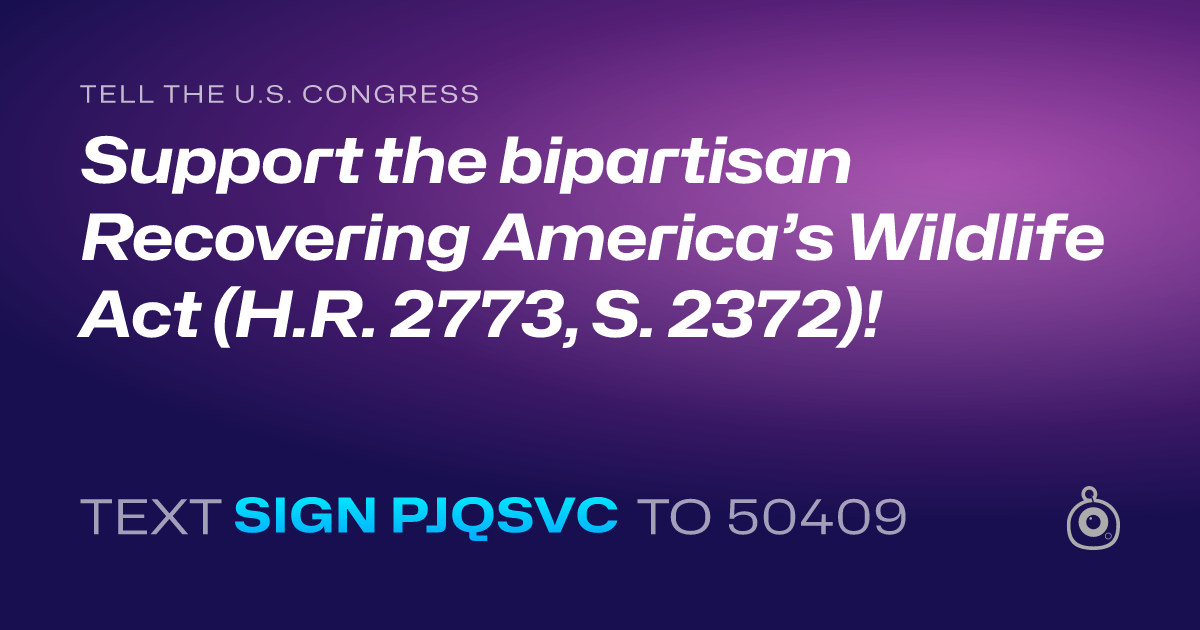 A shareable card that reads "tell the U.S. Congress: Support the bipartisan Recovering America’s Wildlife Act (H.R. 2773, S. 2372)!" followed by "text sign PJQSVC to 50409"